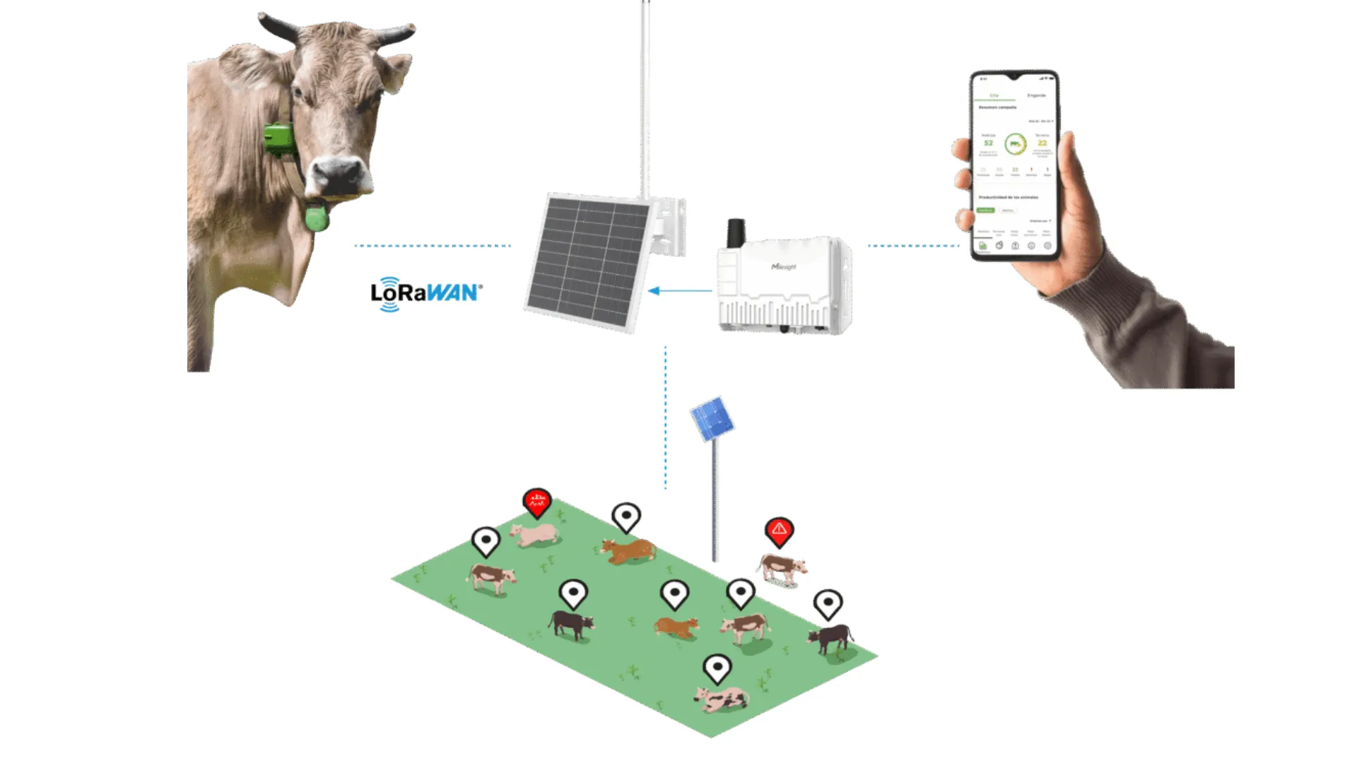Imagen representativa del caso de éxito Ixorigue – Optimización de la gestión ganadera con soluciones IoT